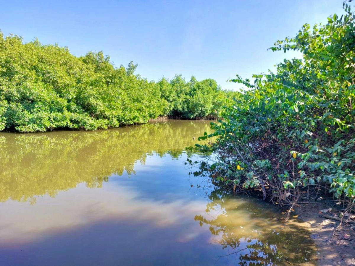 Mangrove Beach Sanyang Eksteriør billede