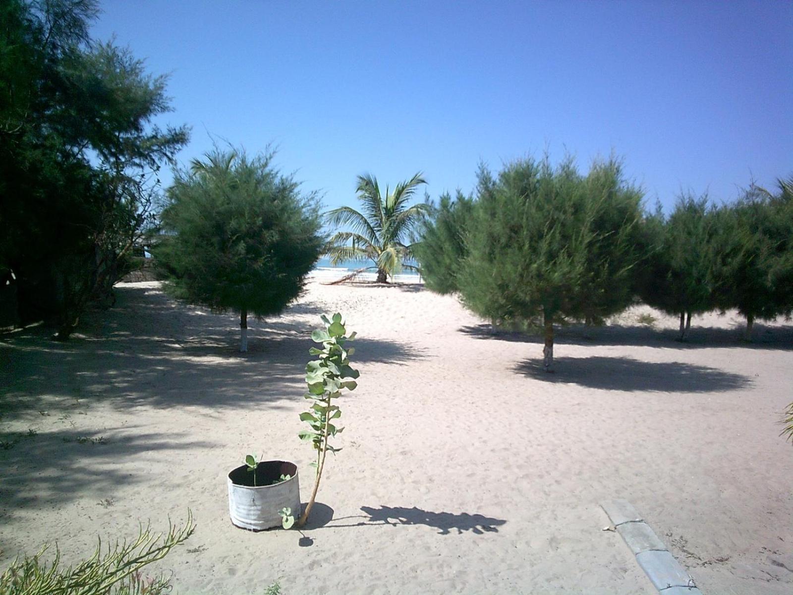 Mangrove Beach Sanyang Eksteriør billede