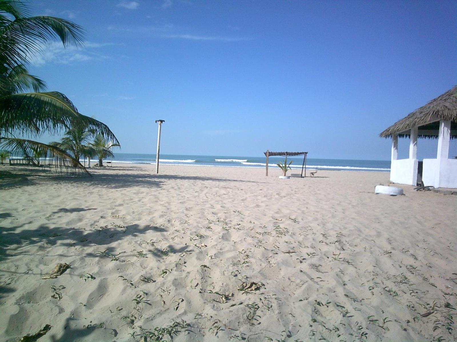 Mangrove Beach Sanyang Eksteriør billede